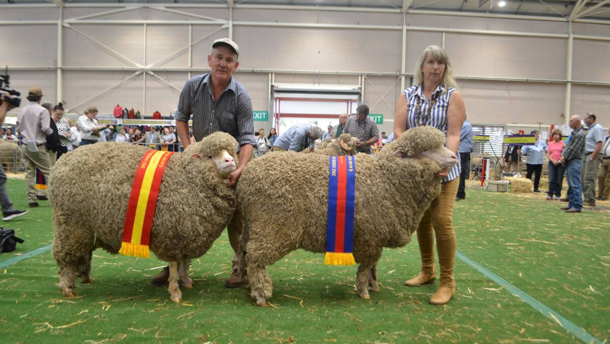 Jim and Caroline Darmody, Wantana Hills, Boorowa with the reserve and champion March-shorn medium wool ewes.