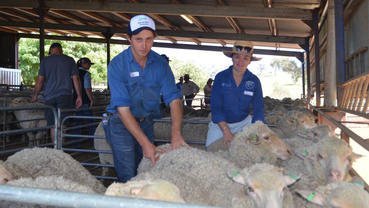 Austin Grace pursued his passion for Merino sheep when jackarooing at Egelabra, Warren after leaving school.
