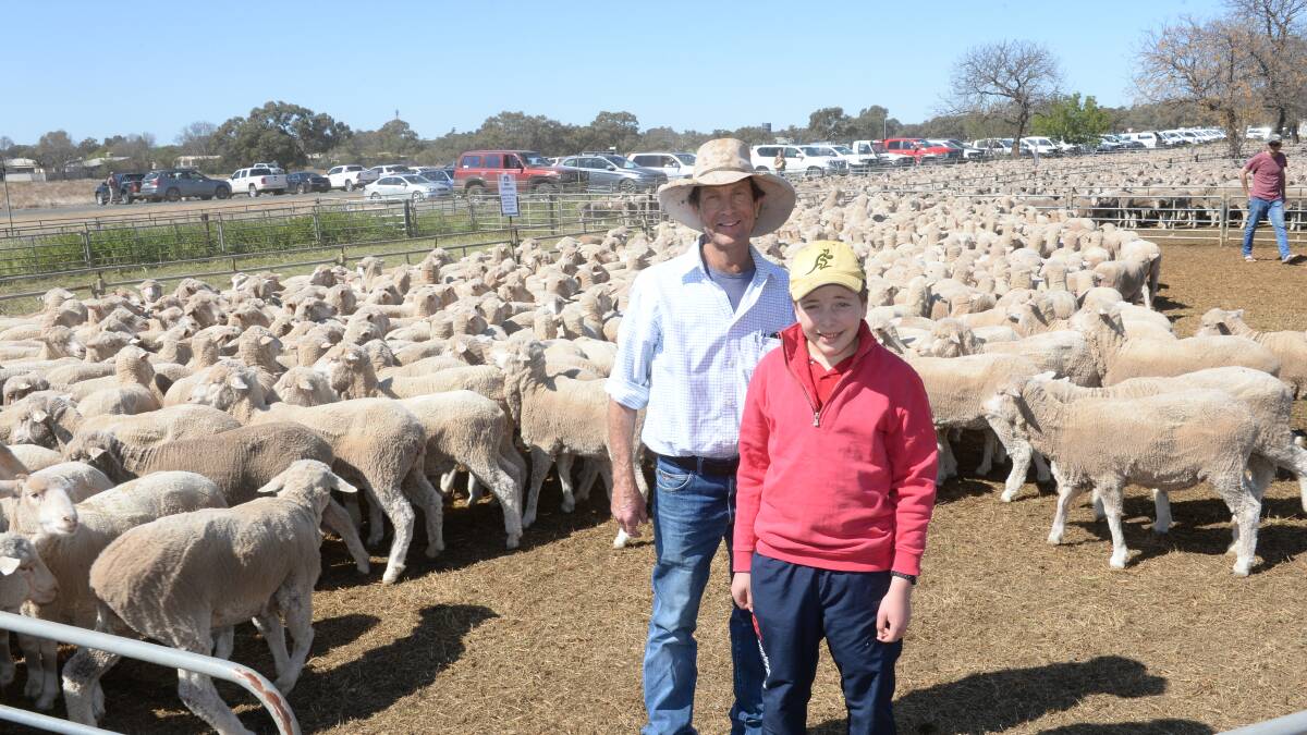 Bill Ryan with his son Paddy, Curragh Station, Oxley with their pen 325 May/June 17 drop, July-drop Merino ewes sold for $238. Photo: Rachael Webb

