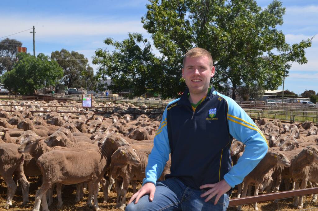 Dwayne Shiels during the spring sale at Jerilderie thought Australian sheep producers achieve terrific productivity. 