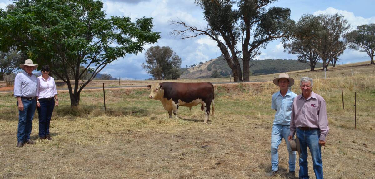 Top price bull Glenellerslie Stavros with buyers Max and Sue Weis, Cassilis and vendors Blake and Ross Smith, Glenellerslie, Adelong.