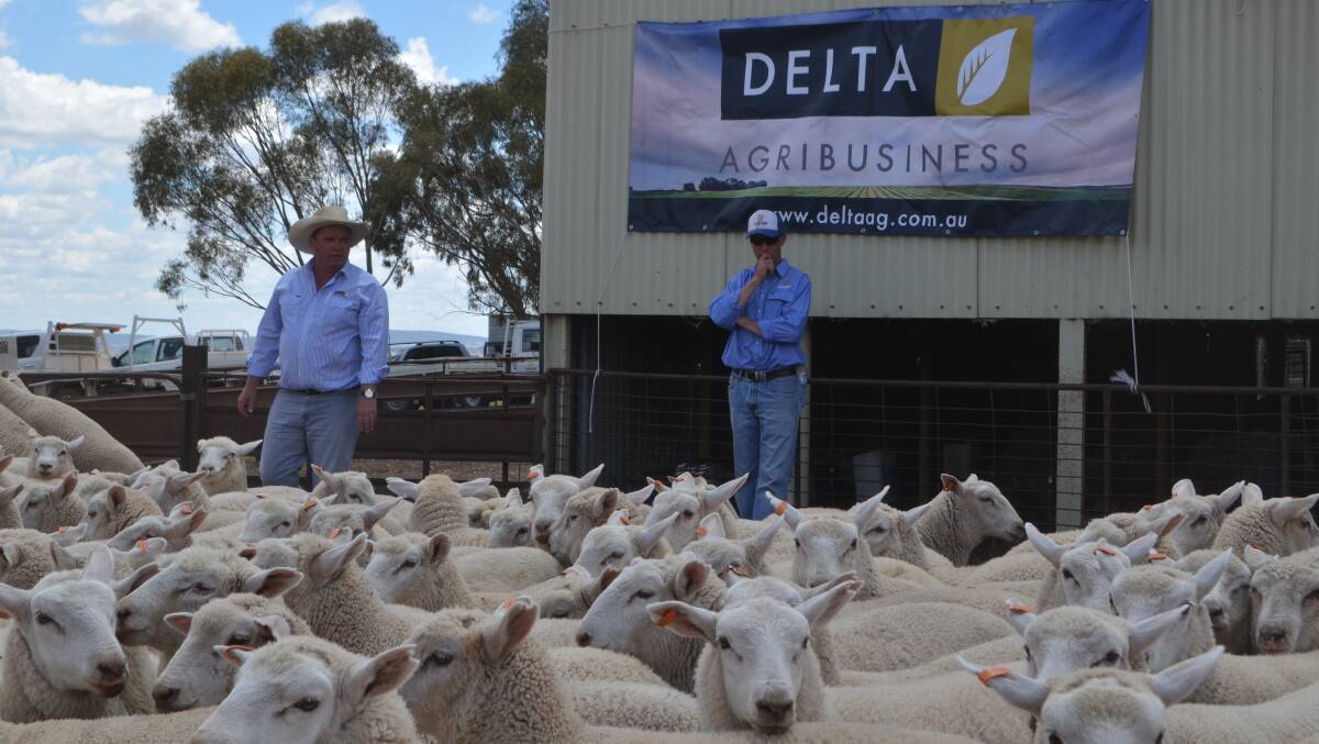 Delta auctioneer Aaron Mackie with Bobbara Station livestock manager Matt Cummins with the pen of lambs sold for $146.50.