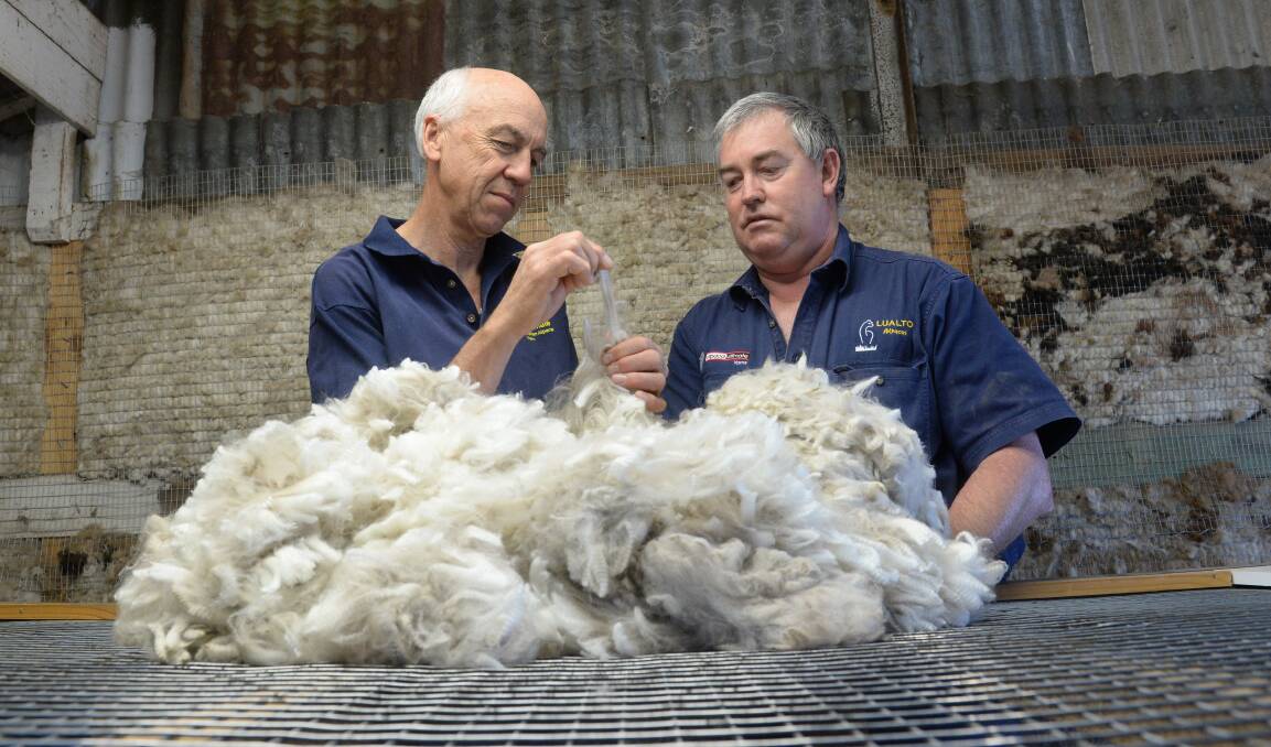 Tim Toshack and Graham Lugg are inspecting a fleece from a two-year-old male with average micron 20, 3.5 SD, 99.5 per cent comfort factor.