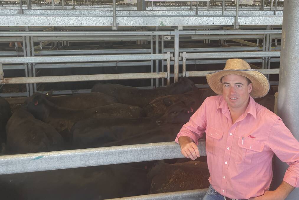 Elders Wodonga manager Brett Shea, said vendors were very happy with the prices paid during the Angus sales early in the week. 