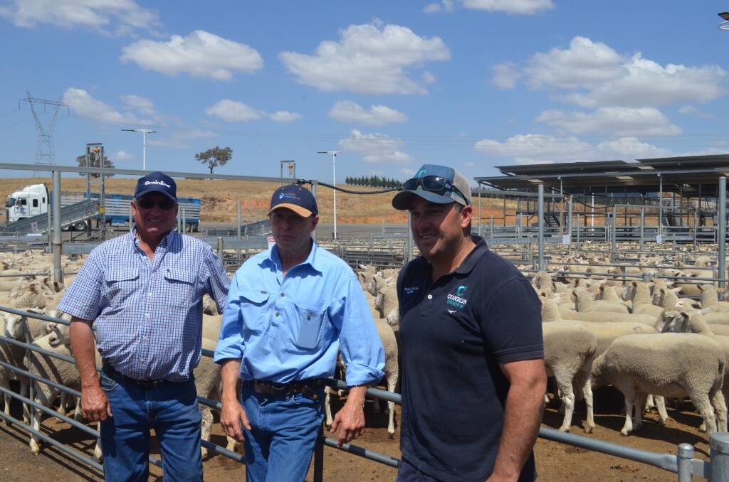 Top price pen of first-cross ewes at $356: Buyer, Brian Frost, Hillden, Bannister, vendor Brent Medway, Tolldale, Gunning and sponsor Joel Conroy, Conron Stockcrete, Grenfell. They were also the best presented pen of one and half year ewes and sponsored by Peter Reardon, Zoetis.