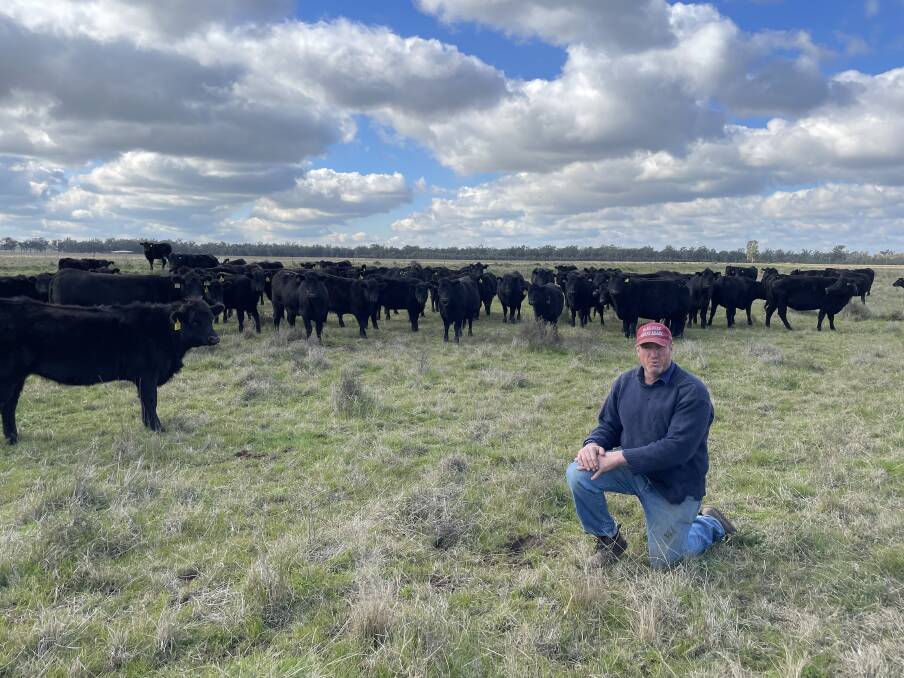 Michael Gooden, Willowlee, Sandigo, checking the health of his pasture that the cattle have just been moved to..