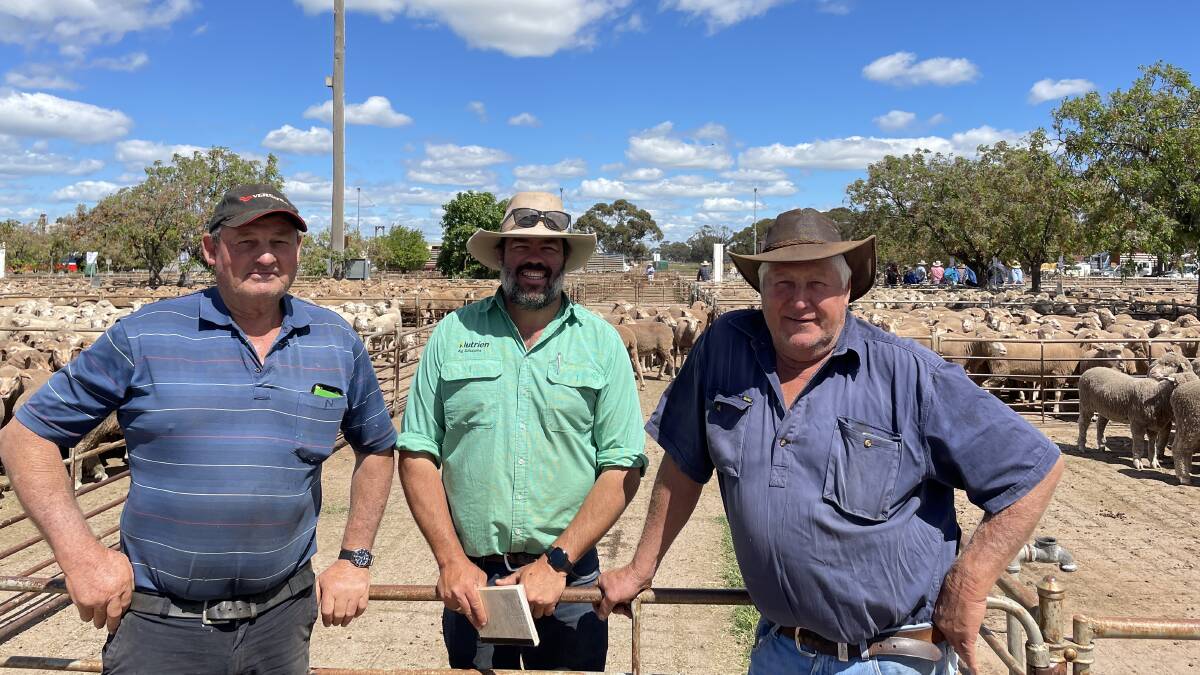 Harry Rowlings, Ungarie, sold Merino ewes for $320, Will Dean, Nutrien, West Wyalong, and Graham Tulloch, West Wyalong, sold cast-for-age Merino ewes for $248.