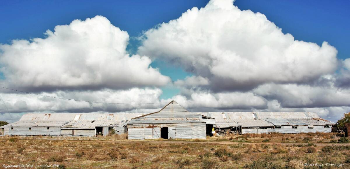 Dating back to 1875, the Toganmain woolshed is the largest remaining woolshed in the NSW Riverina region, and holds an iconic status in Australian pastoral folklore. Photo: supplied
