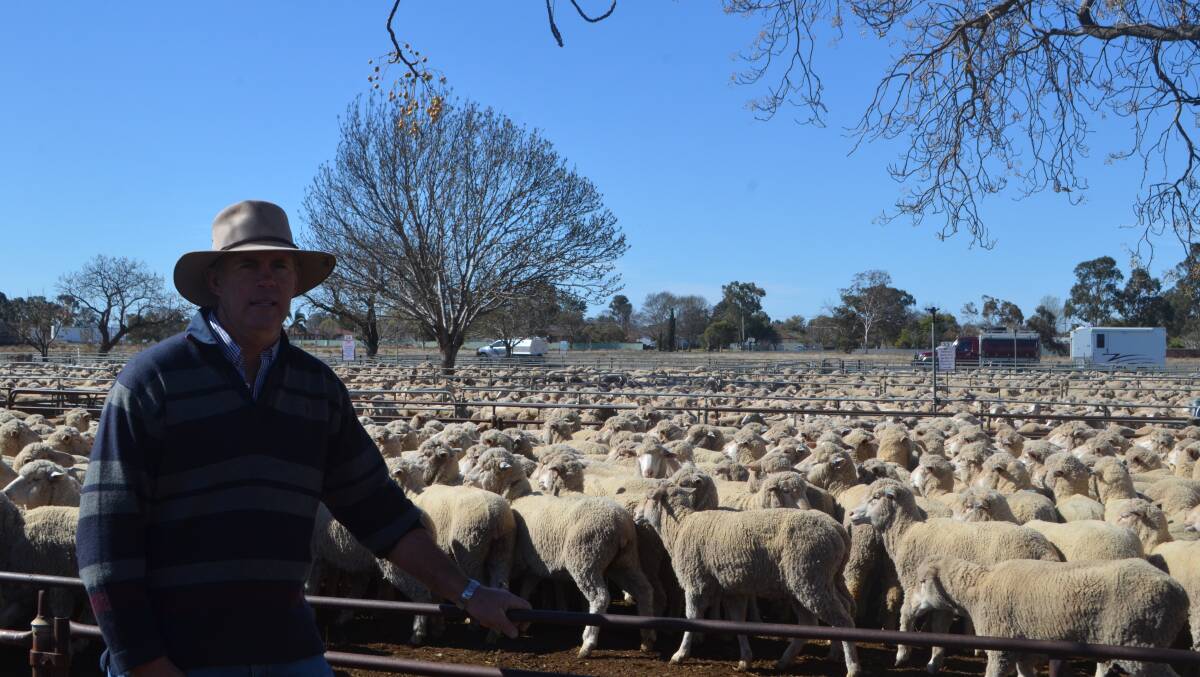 At the recent Hay sheep sale: Bert Matthews, "The decision to de-stock our property has come from my life experience and the need to care for the land."