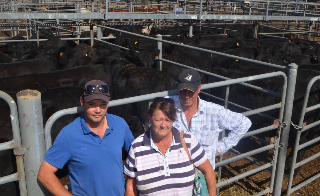 Ben, Christine and Neil Johnstone, have recently purchased a property near Carabost and paid $1450 for the 40 Angus heifers PTIC and Hazeldean-blood