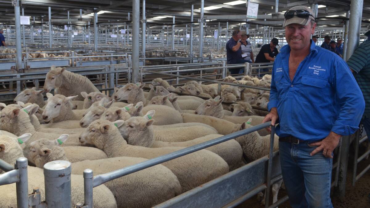 Top priced pen of ewe lambs at $252 presented by Greg Waters, manager for Angus and Louise Taylor, Gundary, Goulburn.