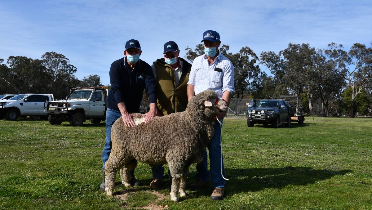 Simon Bahr, Meadow View, Henty, with the top priced ram at the multi-vendor sale purchased by longterm client Mark Dye, Corowa, (centre) with Bernie Lee, Michell and Co, Corowa who advised My Dye on his selection of rams from the Meadow View draft.
