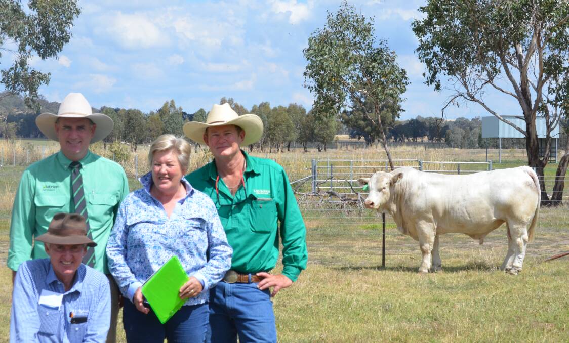 Selling agents Peter Ruaro and Peter Godbolt, with Kenmere co-principal Ann-Marie Collins and Kenmere stud manager Glenn Trout and the top priced bull Kenmere Qucik Gun QQ105E.