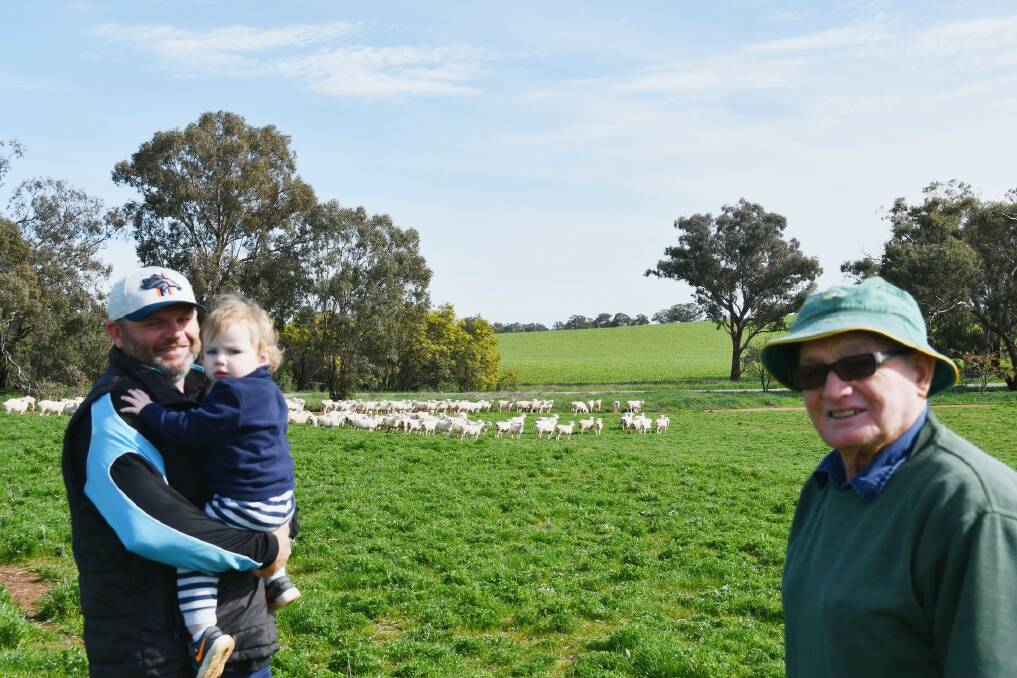 Brian McKelvie (right) at Misty Hills, Marrar, with his son Damien and grandson Lachlan and the maiden Australian White ewes out of which a twin-bearing draft was sold for $1210.