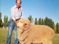 John Kahlbetzer with a Mungadal stud Merino ram on the big southern NSW pastoral property in the early 1980s. Photo supplied.