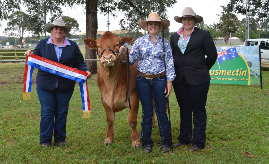 SCHOOL PARADERS: Judge Renae Keith, Allenae Angus and Poll Herefords, Roslyn, with school paraders champion Jemima Nugent, Wagga Wagga Christian School, and associate judge Emily Polsen, Grace Valley Livestock, Yass. 