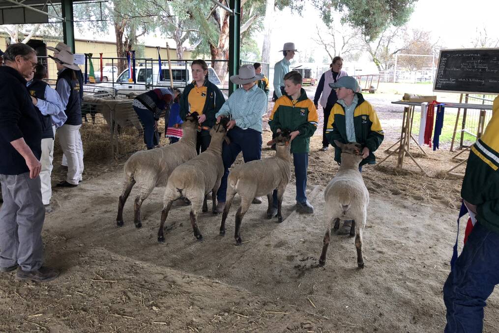 EDUCATION: Students from Billabong High School at Culcairn show their South Suffolk sheep at the Holbrook Sheep and Wool Fair back in 2019. Picture: Nikki Reynolds