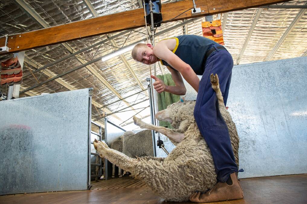 GREAT TECHNIQUE: TAFE student Brendon Williams showing off his shearing skills. 