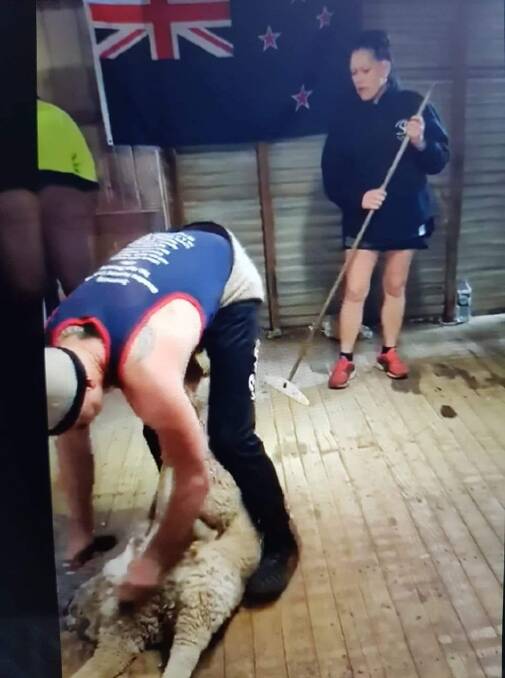SKILLED: Natalie Te Huia assists Aidan Copp during the world record shearing. 