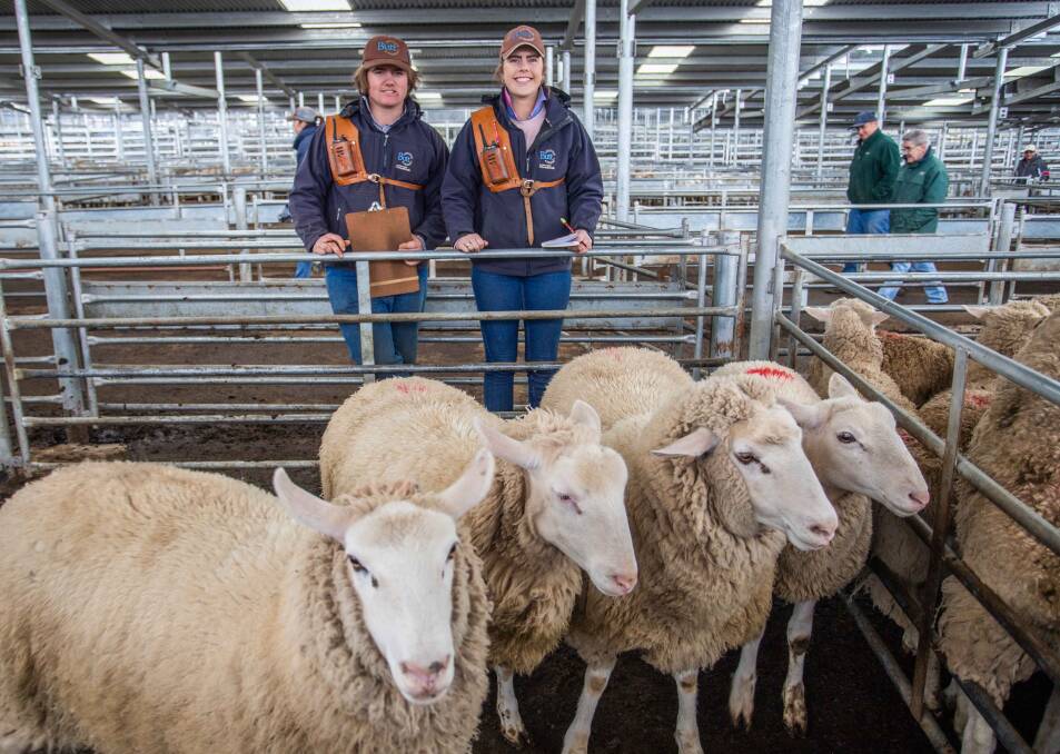 VENDORS: Jason Davis and Tegan Morris are pictured with the cross bred lambs sold by Yass High School for $215.