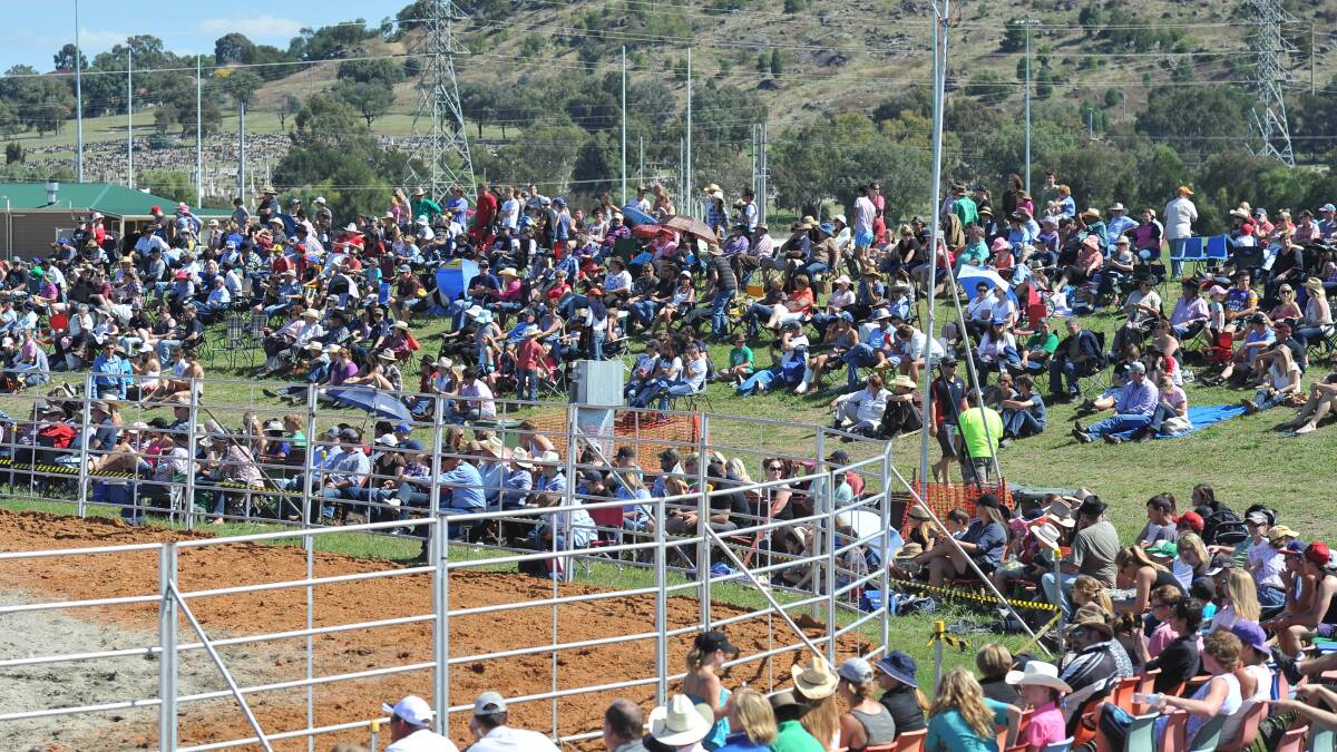 CROWDS: Action from the Wagga Pro Rodeo at the Equex Centre. 