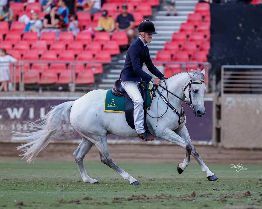 ROYAL SUCCESS: Darcy Schliebs rides Combaning Elect to victory during the working stock horse class at Sydney Royal Easter Show. Picture: Supplied
