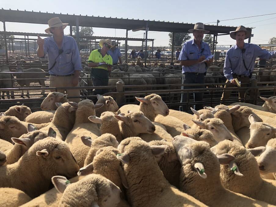 TAKING THE BIDS: The team from WRL are at the rail during Wagga sheep and lamb sale. 