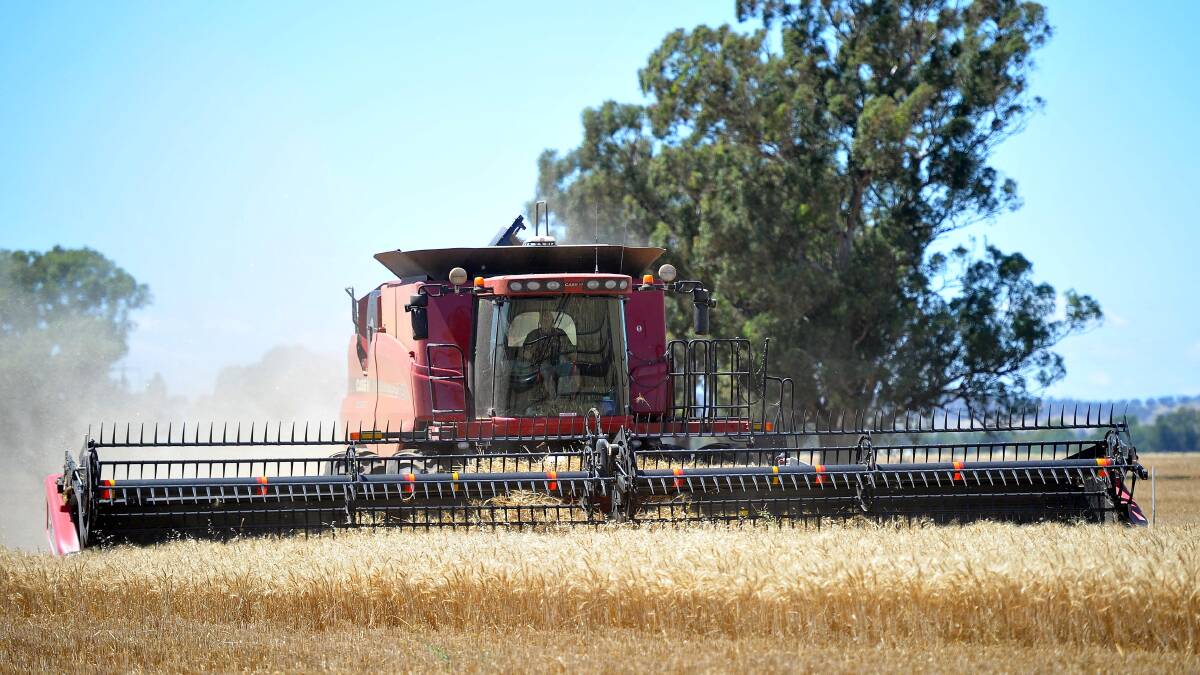 BETTER TIMES: Growers of winter crops in southern NSW had hoped for a drier finish to the season to allow for a lucrative harvest. Picture: Kieren L. Tilly 
