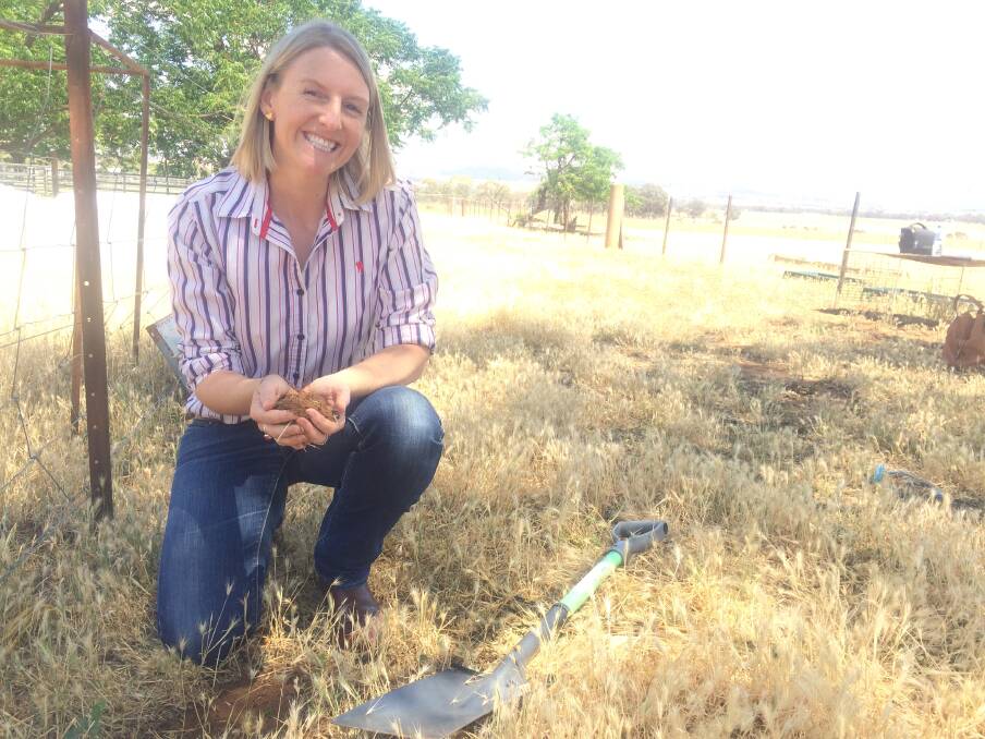 VALUABLE RESEARCH: Dr Susan Orgill of NSW Department of Primary Industries has completed work about carbon levels in soil. Picture: Nikki Reynolds 
