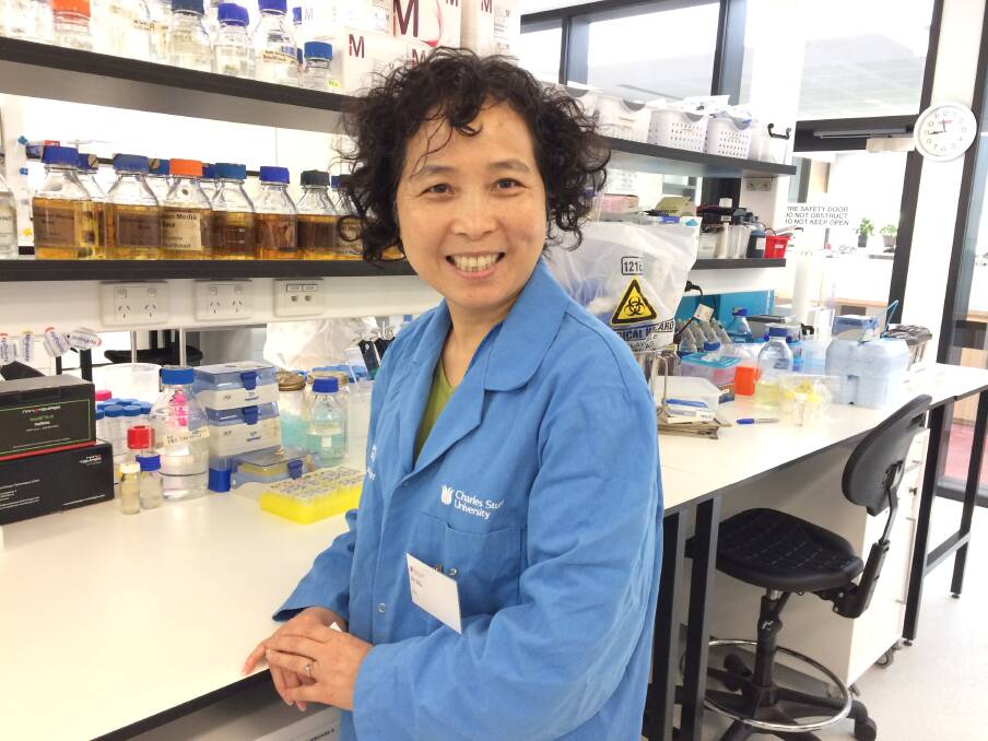 SUPPLEMENT SUCCESS: Professor Bing Wang of CSU's School of Animal and Veterinary Sciences and Graham Centre for Agricultural Innovation, has been examining the use of Lactoferrin. Picture: Nikki Reynolds 