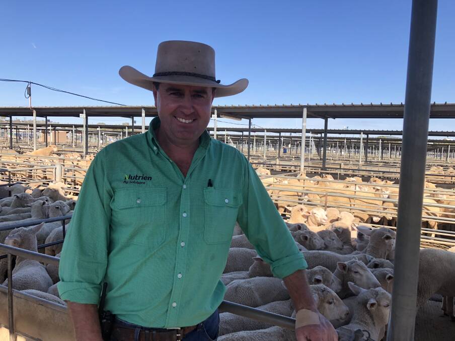 AT THE MARKET: Jarrod Slattery of Nutrien Livestock Wagga is pictured at the Wagga sheep and lamb sale. Picture: Nikki Reynolds