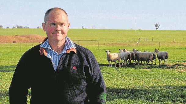 INDUSTRY LEADERSHIP: Stud sheep breeder Paul Routley of Urana in southern NSW is on the White Suffolk board. 