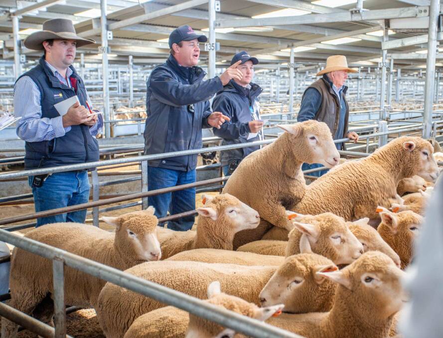 AT THE RAIL: Delta Agribusiness selling cross-bred lambs on behalf of Ellerview Pastoral Co, Young for $218 a head. 
