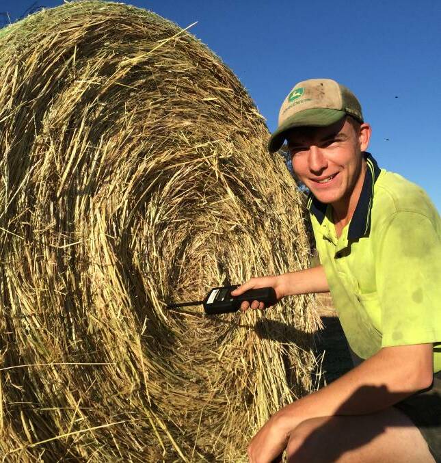 ON TARGET: Joe Kingston of The Rock in southern NSW tests some hay for moisture content earlier in the season. Picture: Nikki Reynolds 
