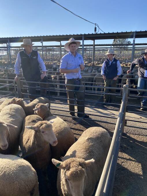 TAKING THE BIDS: H Francis and Co are at the rail during the Wagga sheep and lamb market. Picture: H Francis 