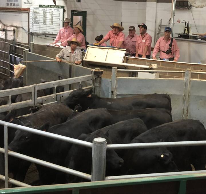 TAKING THE BIDS: The team from Elders Wagga take the bids during the Wagga cattle market on Monday. 