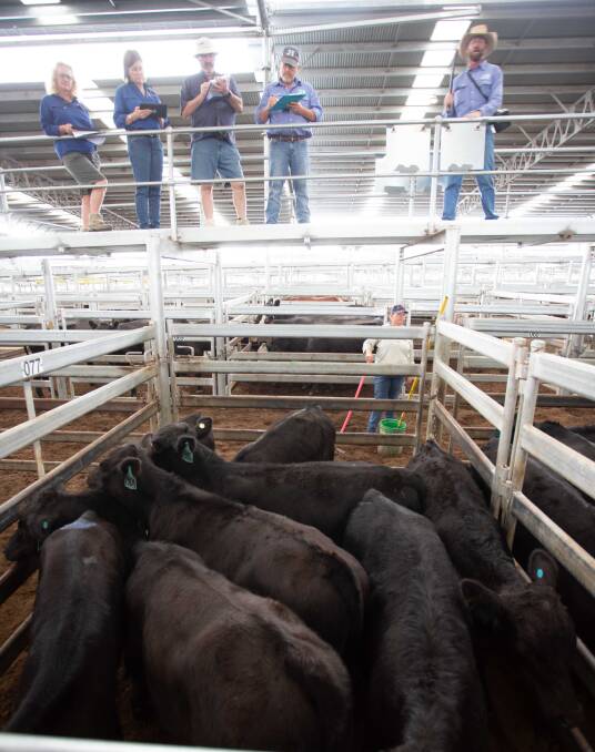 RESULTS: T and C Lovelock, Breadalbane sold seven Angus steers with Jim Hindmarsh and Co for 417.2c/kg, to average 192.9kg, or $804.6 a head. 