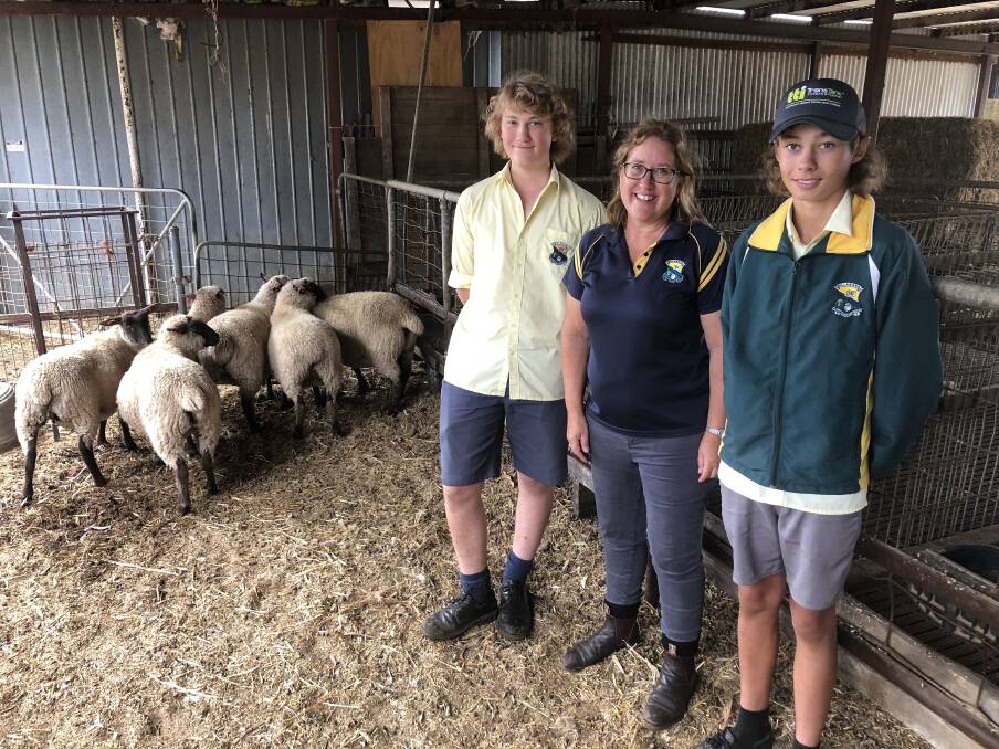 HANDS ON: William Lieschke, Year 9, agriculture teacher Donna Parker, and Nate Kohlhagen, Year 9 pictured with the school's South Suffolk sheep. Picture: Nikki Reynolds