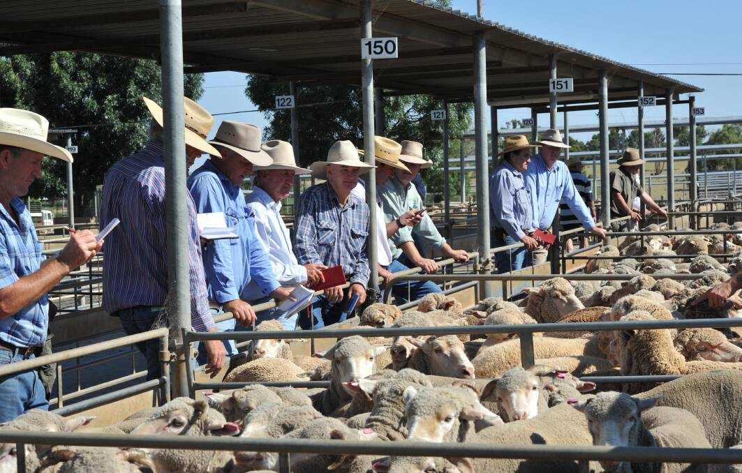 MARKET MATTERS: Livestock agents, vendors and buyers are pictured at the rail during the Wagga sheep and lamb sale. 