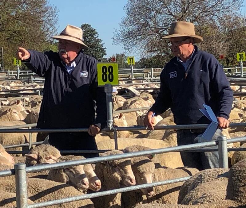 TAKING THE BIDS: Auctioneer Peter Ellis BUR with Michael Unthank selling sheep at Corowa on Monday. Picture: Supplied
