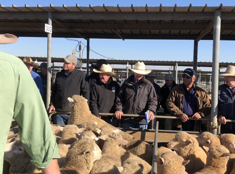 PLACE THE BIDS: Buyers, livestock agents and vendors are at the rail during the Wagga sheep and lamb sale. 