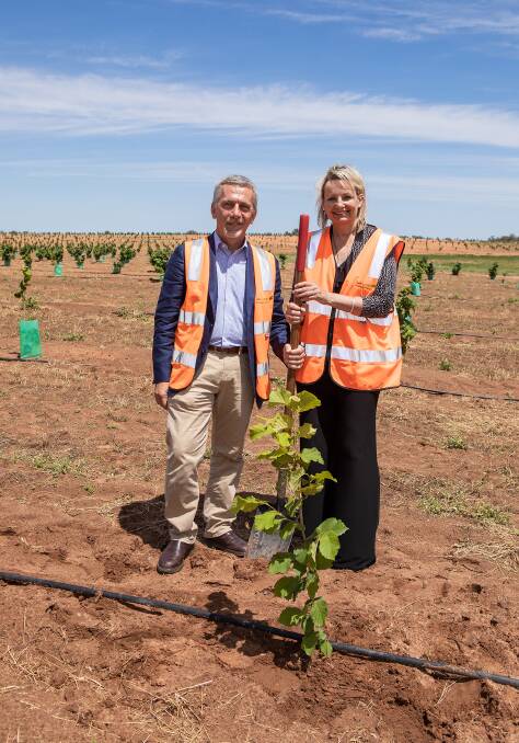 FINISHING TOUCHES: Sussan Ley, member for Farrer Claudio Cavallini are pictured at the hazelnut venture at Sandigo in southern NSW. Picture: Supplied