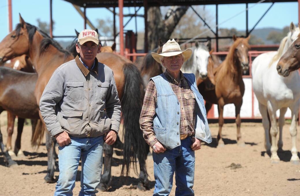 TEAMWORK: Jarrad Gill and his father John Gill will showcase their stock at the Wagga Pro Rodeo on Saturday. 
