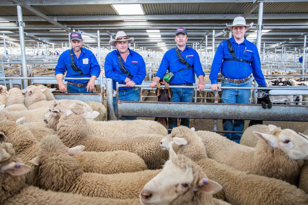 MEET THE MARKET: The Duncombe & Co Crew including Tom, Garry, Jock and Jake sold 52 cross bred suckers on behalf of D and M Hewitt, Lost River for $229. Picture: Supplied