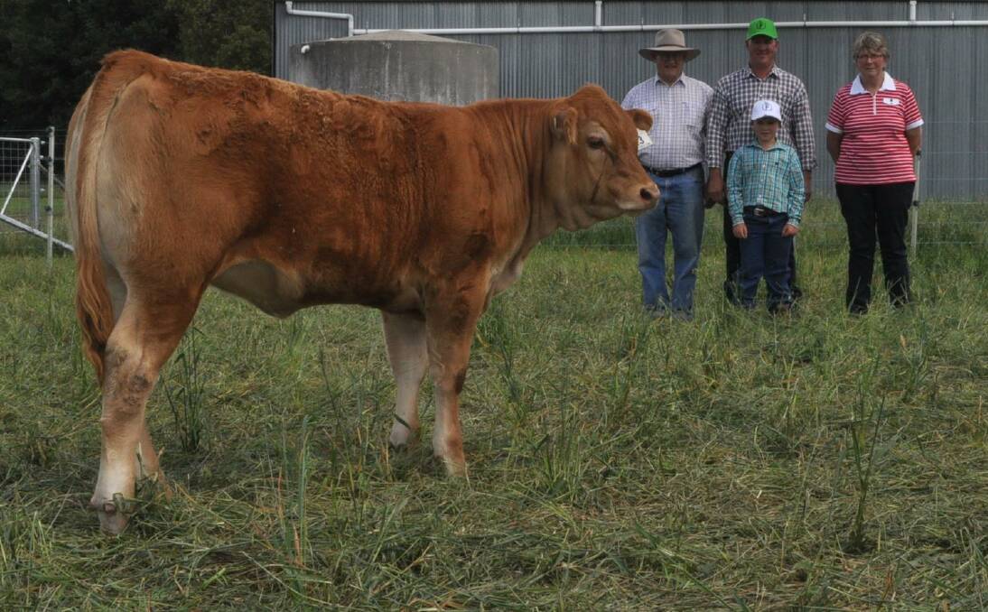 QUALITY IDENTIFIED: Michael Parsons, Kia Ora Limousins, Roslyn secures this heifer calf for $14,000. He is pictured with  vendors Ian and Jack Robson, Adelong, and Mary Parsons, Kia Ora Limousin Stud. 