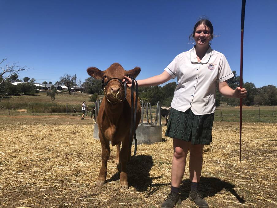 RURAL COMMITMENT: The Riverina Anglican College student, Charlotte Dendy enjoyed success at the Canberra Royal Show. Picture: Nikki Reynolds