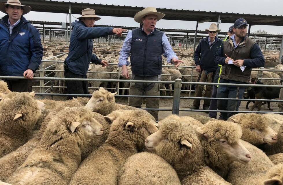 AT THE RAIL: Livestock agents and auctioneers at Wagga sheep and lamb sale. 