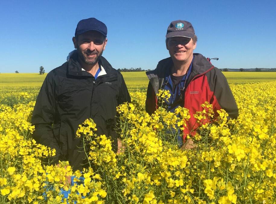 ASSESS SOWING OPTIONS: Rohan Brill of NSW DPI and CSIRO’s Dr John Kirkegaard are involved in the Optimised Canola Profitability project. Picture: Julianne Lilley
