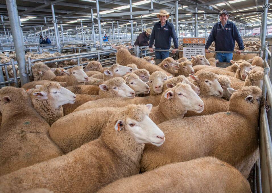 MARKET: Jock and James Tolmie, of Holman Tolmie are all smiles after their client, I abd M Bone, Muttama topped the market with lambs for $239.