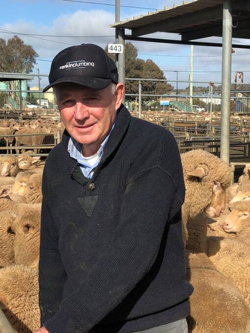 NEW-SEASON SUCCESS: Tom Pattison, "Killarney", Marrar sold sucker lambs, estimated to weigh 26 kilograms dressed, for a high of $239.20 at Wagga. Picture: Nikki Reynolds


